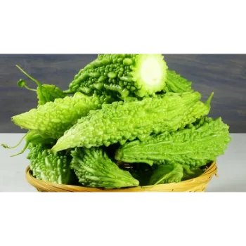 Organic Bitter Gourd